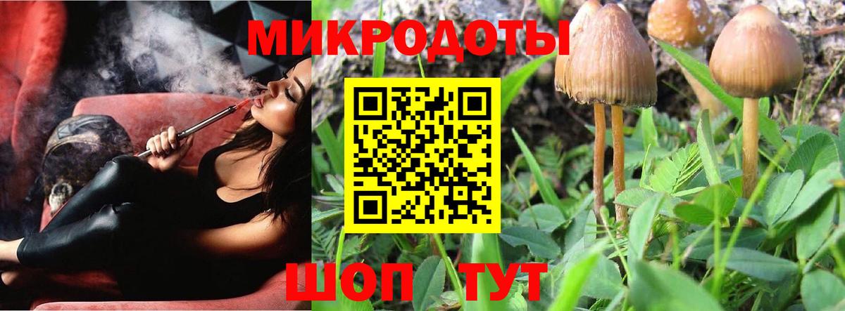 Псилоцибиновые грибы Psilocybe  Псилоцибиновые грибы Cubensis  Вход с VPN  Кострома 