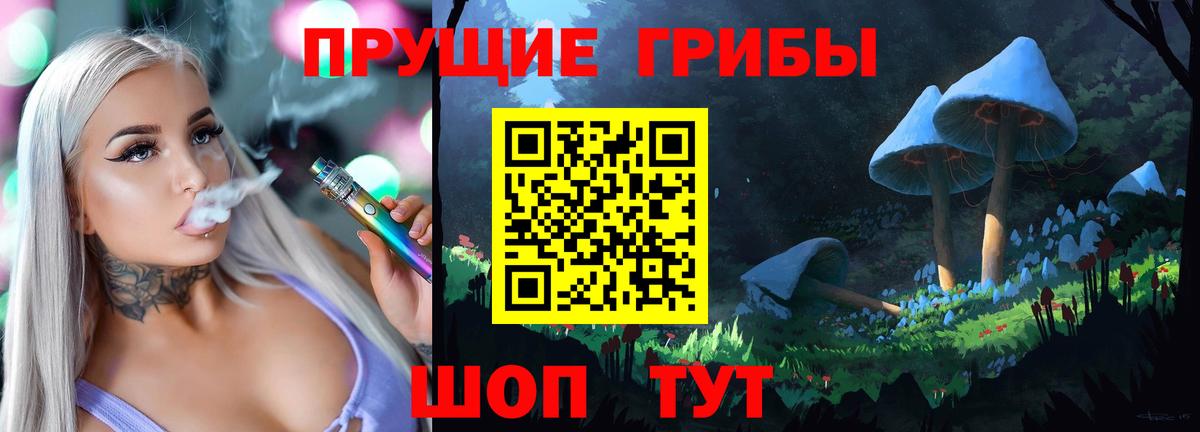 Псилоцибиновые грибы Cubensis Кострома